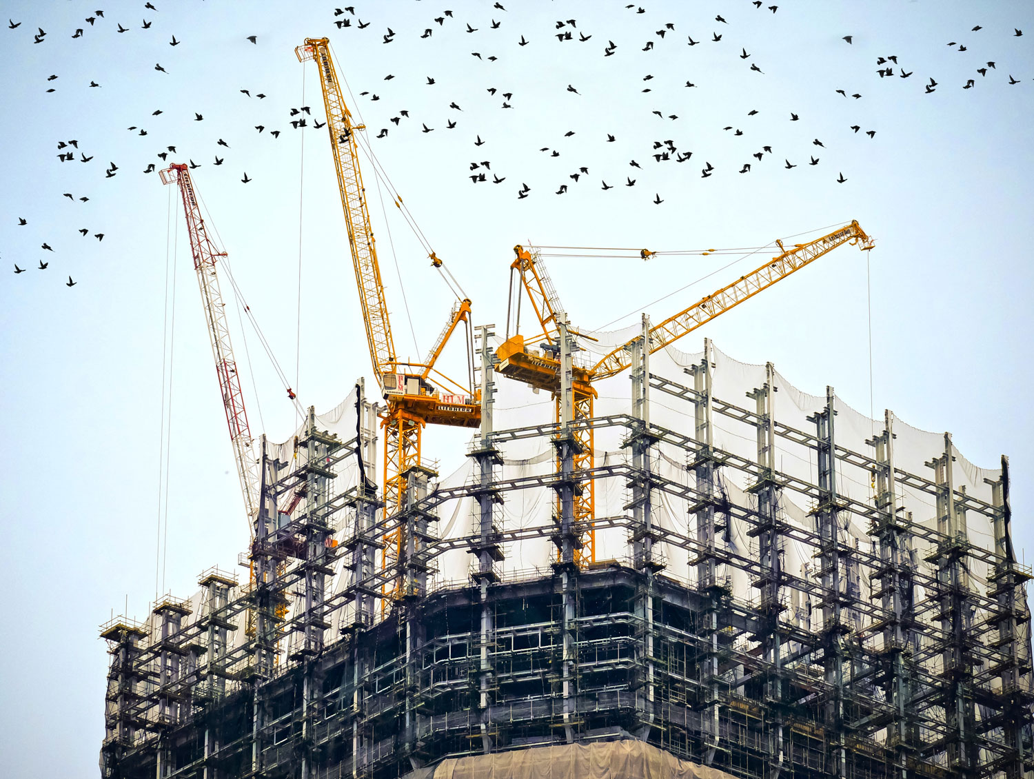 stadium construction