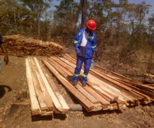Lundazi-Timber-Project